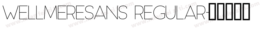 WellmereSans Regular字体转换